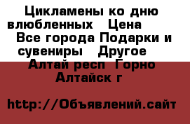 Цикламены ко дню влюбленных › Цена ­ 180 - Все города Подарки и сувениры » Другое   . Алтай респ.,Горно-Алтайск г.